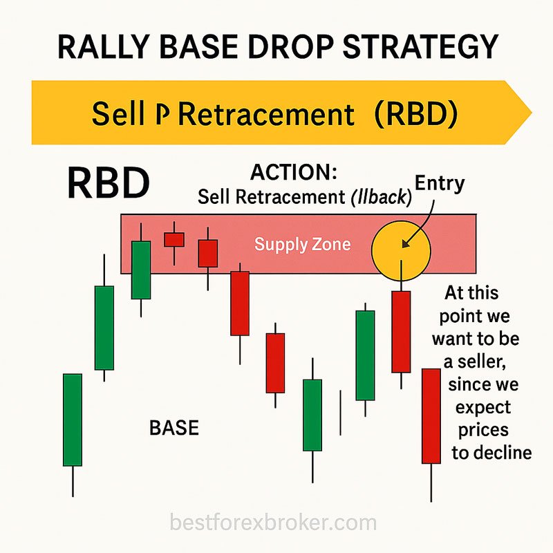 Rally-Base-Rally and Drop-Base-Drop Patterns
